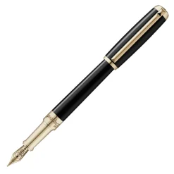 S.T. Dupont Fountain<Dupont Line D Fountain Pen