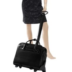 McKlein Business Cases<USAWILLOWBROOK*