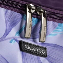 Ricardo Checked|Carry-on Luggage<Rodeo Drive 2.0 Hardside Carry-On Expandable Spinner Black`