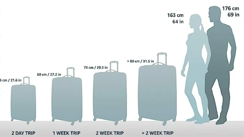 Samsonite Checked|Carry-on Luggage<Freeform 3 Piece Set 21|24|28 Inch Expandable Spinners (Navy